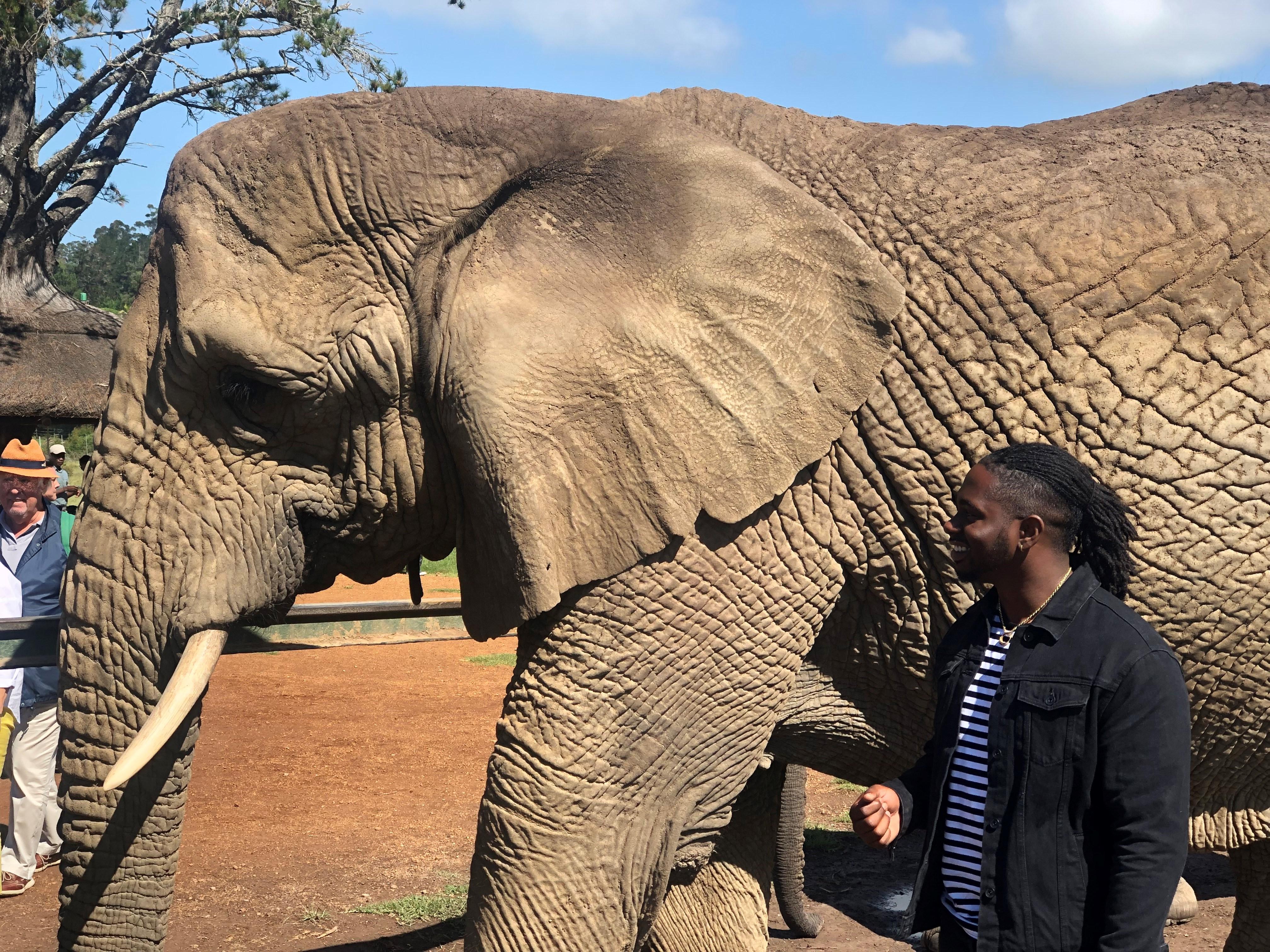 在南非，一个学生抱着一头大象